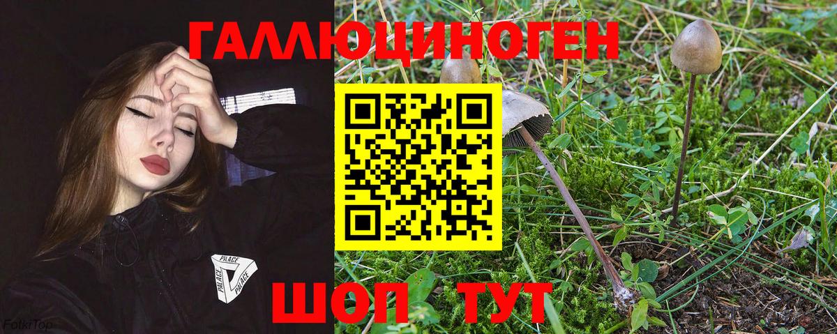 Клин  Псилоцибиновые грибы Magic Shrooms  Псилоцибиновые грибы Magic Shrooms  Вход с VPN 