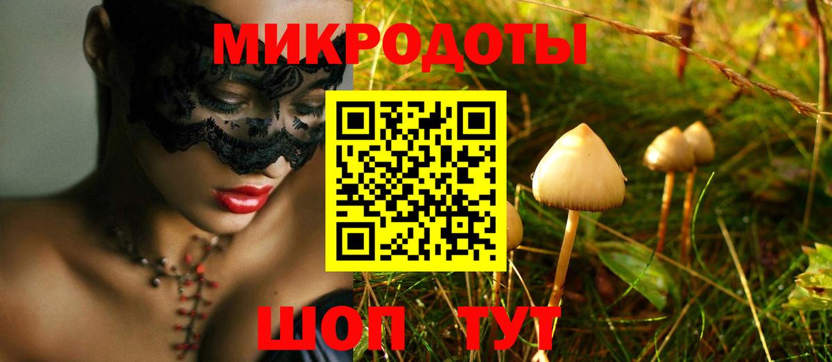 Галлюциногенные грибы Cubensis Клин